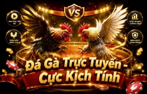 Sảnh Đá Gà DAGA